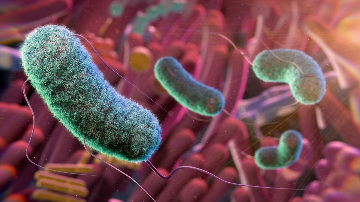 Bacteria = Beauty? The Shocking Truth About Your Skin’s Microbiome.