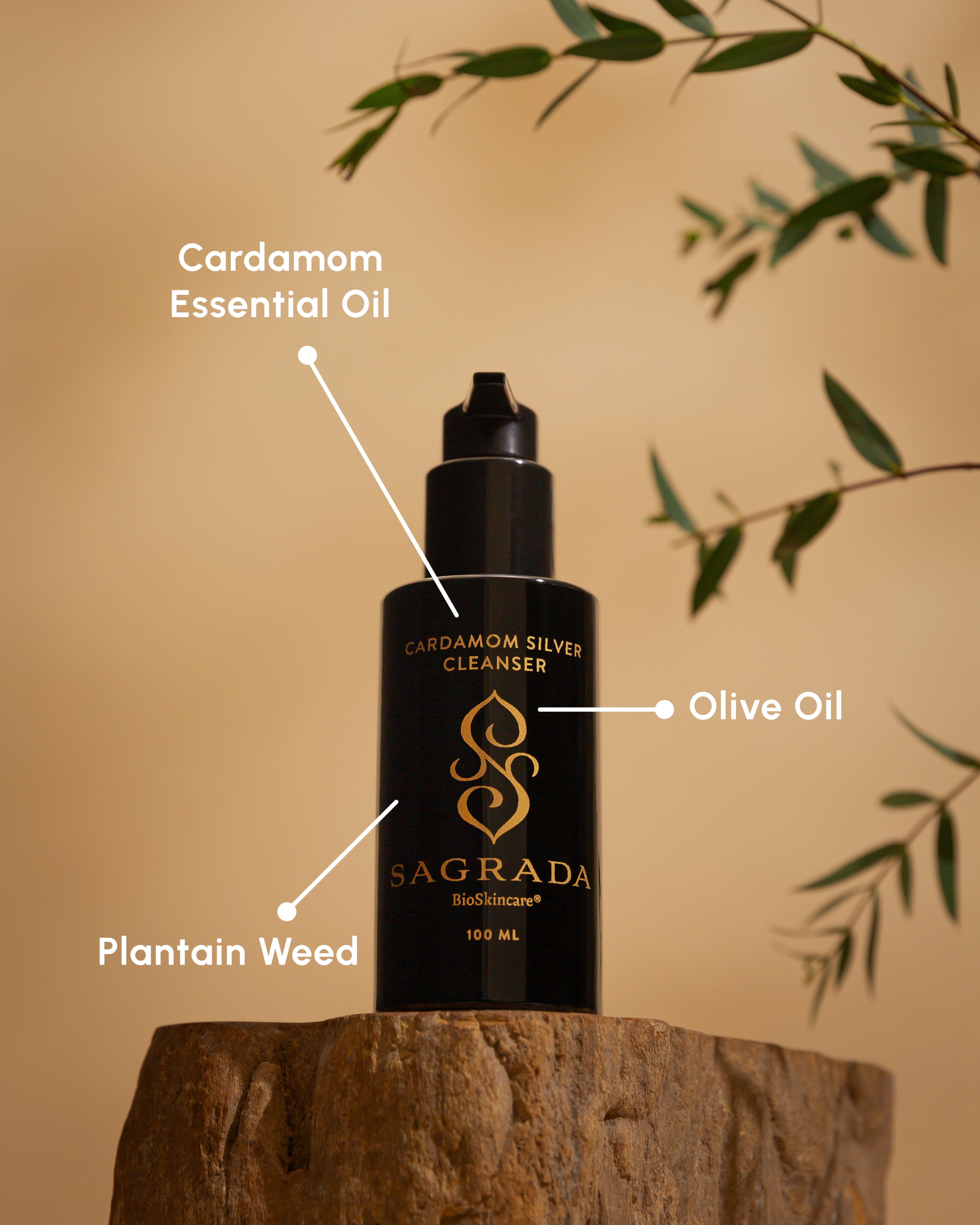 A black bottle of Sagrada BioSkincare's Cardamom Silver Cleanser - For Those Who Seek Deep Purification sits on a wooden surface, with text highlighting antioxidant-rich olive oil and plantain weed extract. Green leaves blur in the background.