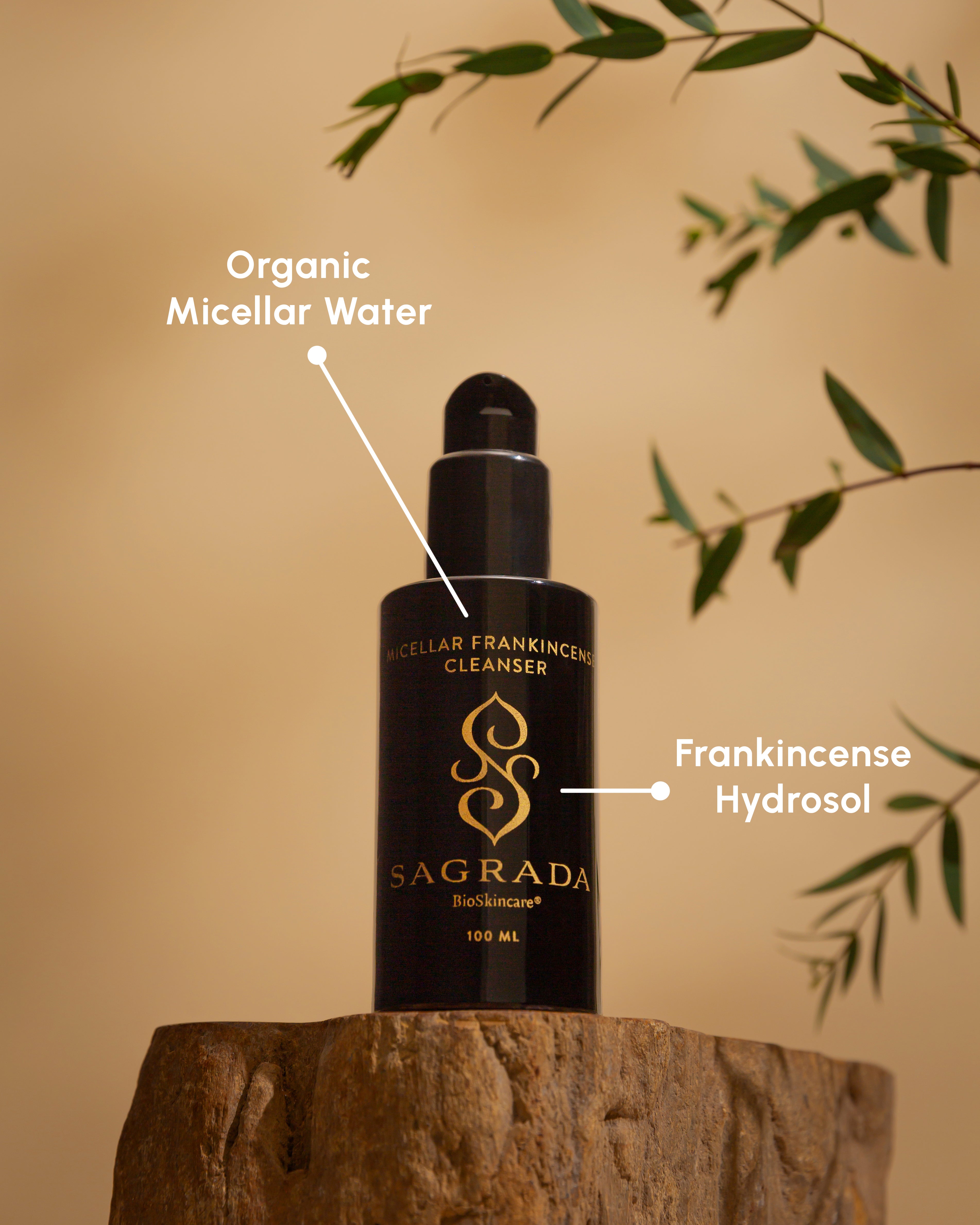 A bottle of Sagrada BioSkincare Sagrada Micellar Frankincense Cleanser—Deep Cleanser For Delicate Skin—rests on wood, with arrows pointing to key ingredients: organic micellar technology and soothing frankincense hydrosol; leafy branches decorate the scene.