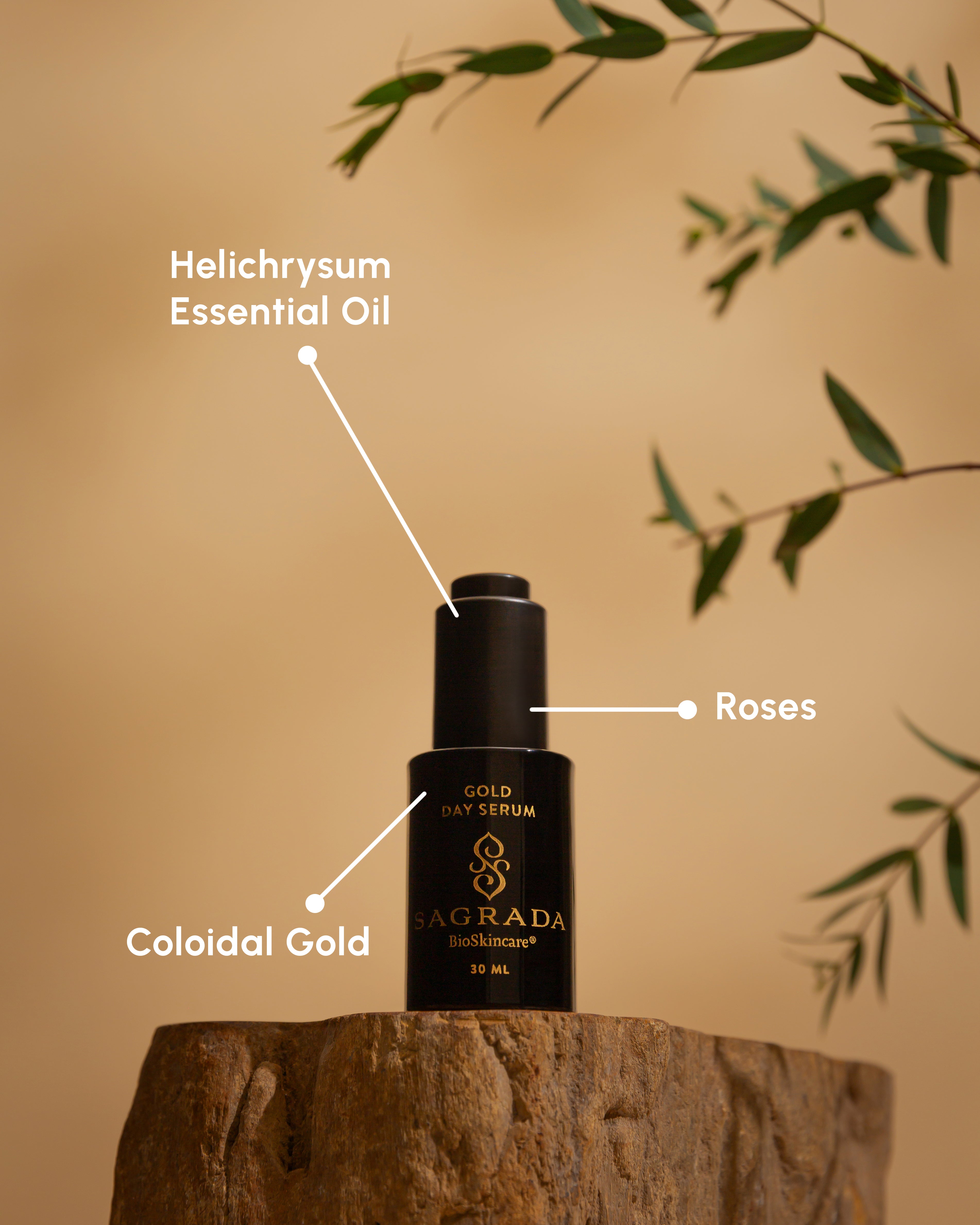 A black bottle of Sagrada BioSkincare’s Sagrada Day Gold Serum – Radiance Boosting Elixir rests on a tree stump among green leaves, showcasing its nourishing blend with Helichrysum essential oil, rose, and colloidal gold.