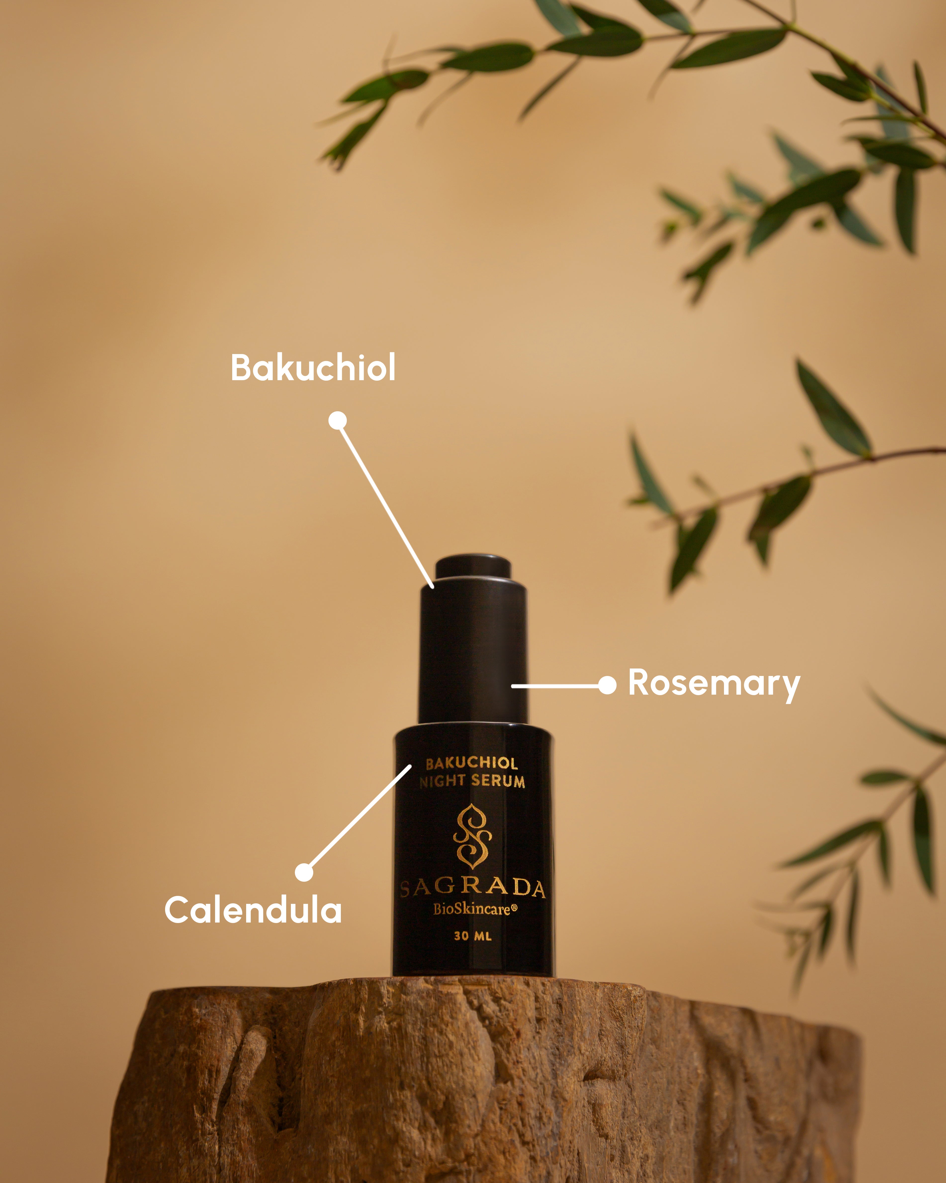 A black bottle of Sagrada BioSkincare's Sagrada Night Bakuchiol Serum – Gentle Alternative To Retinol, featuring key ingredients like Bakuchiol, Rosemary, and Calendula, is displayed on wood with leafy branches in the background.